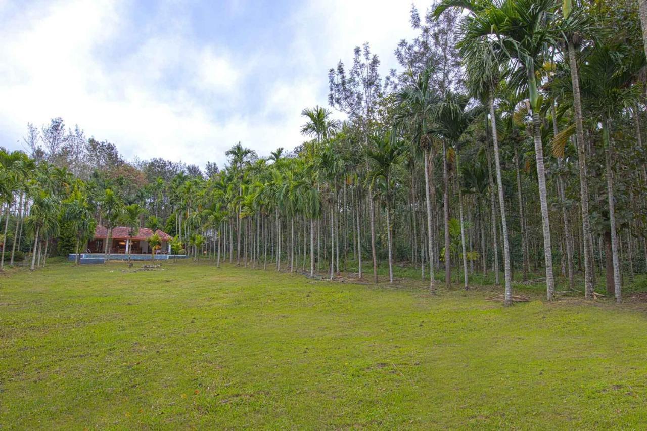 Stayvista At Tall Silver With Infinity Pool & Breakast Madikeri Exteriér fotografie